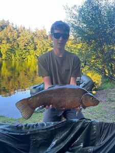 Tench