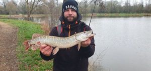 Northern Pike