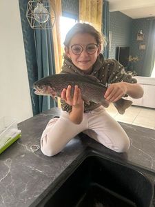 Rainbow Trout