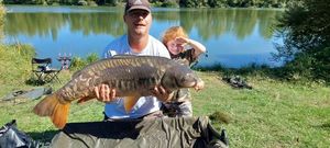 Mirror Carp