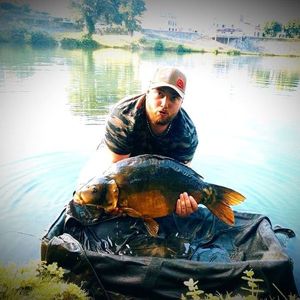 Mirror Carp