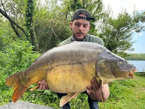 Mirror Carp