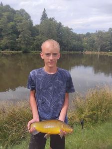 Tench