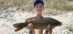 Common Carp