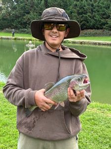 Rainbow Trout