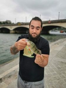European Perch