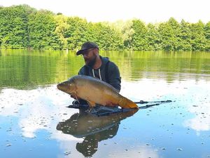 Mirror Carp