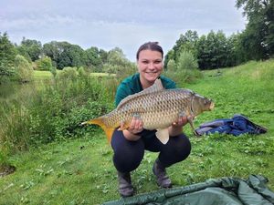 Common Carp