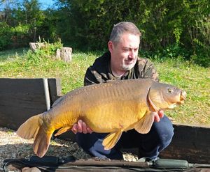 Mirror Carp