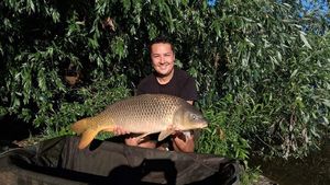 Common Carp