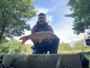 Common Carp