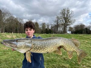 Northern Pike