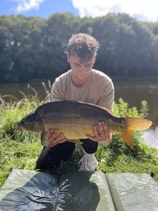 Mirror Carp