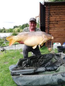 Mirror Carp