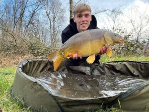 Mirror Carp