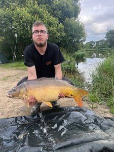 Mirror Carp