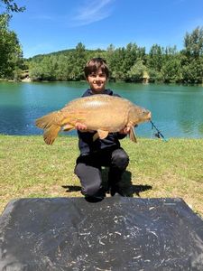 Mirror Carp