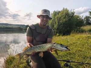 Northern Pike