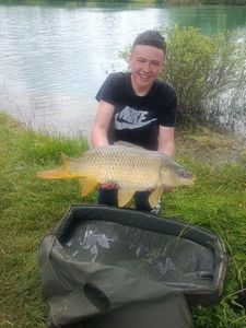 Common Carp