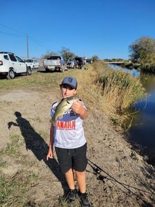 Smallmouth Bass