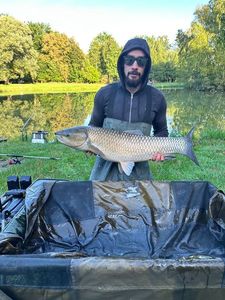 Grass Carp