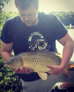 Common Carp
