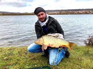 Common Carp