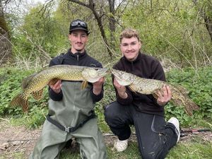 Northern Pike