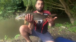 Barbel