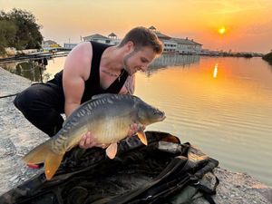 Mirror Carp