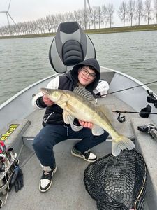 Zander