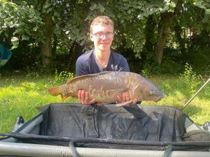 Mirror Carp