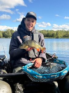 European Perch