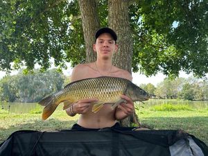 Common Carp