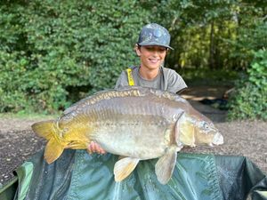 Mirror Carp