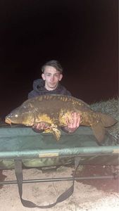 Mirror Carp