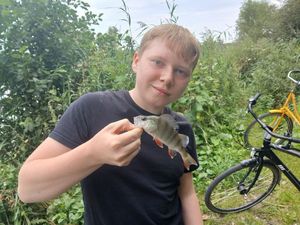 European Perch