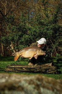 Mirror Carp