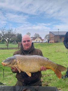 Common Carp