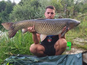 Grass Carp