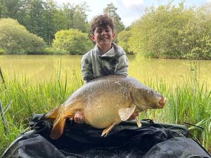 Mirror Carp