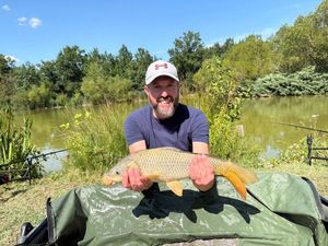 Common Carp