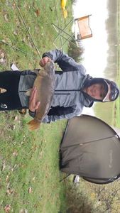 Mirror Carp