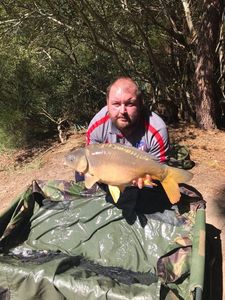 Mirror Carp