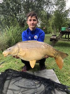 Mirror Carp