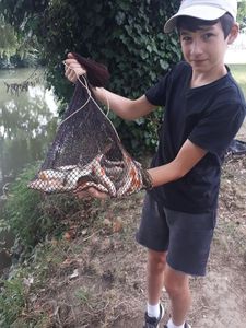 Roach