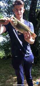 Largemouth Bass