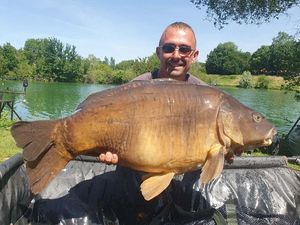 Mirror Carp