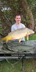 Mirror Carp