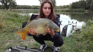 Mirror Carp